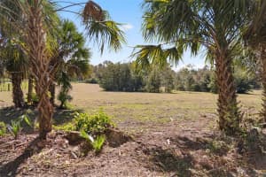 15218 NORRIS BISHOP LOOP, BROOKSVILLE, FL 34614 - MLS#MFRW7881543