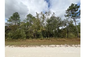 Lot 11 RED MARLIN AVENUE, WEEKI WACHEE, FL 34614 - MLS#MFRW7881550
