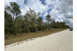 Lot 11 RED MARLIN AVENUE, WEEKI WACHEE, FL 34614 - MLS#MFRW7881550