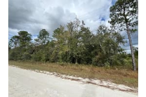 Lot 11 RED MARLIN AVENUE, WEEKI WACHEE, FL 34614 - MLS#MFRW7881550