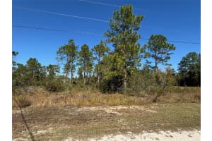 Lot 16 CALYPSO AVENUE, BROOKSVILLE, FL 34614 - MLS#MFRW7881552