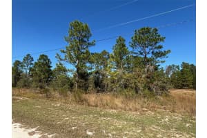 Lot 16 CALYPSO AVENUE, BROOKSVILLE, FL 34614 - MLS#MFRW7881552