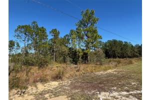 Lot 16 CALYPSO AVENUE, BROOKSVILLE, FL 34614 - MLS#MFRW7881552
