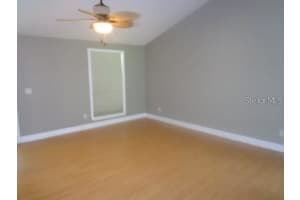 3874 LAKE SHORE DRIVE, PALM HARBOR, FL 34684 - MLS#MFRW7881555