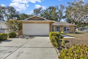 8410 ELGIN DRIVE, PORT RICHEY, FL 34668 - MLS#MFRW7881564