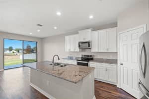 446 ALPINE THISTLE DRIVE, BROOKSVILLE, FL 34604 - MLS#MFRW7881583