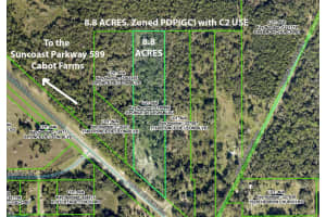 17023 PONCE DE LEON BOULEVARD, BROOKSVILLE, FL 34614 - MLS#MFRW7881586