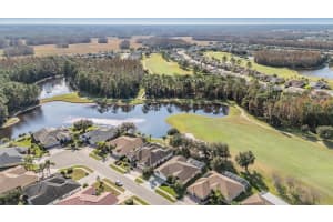 1331 TRIMARAN PLACE, TRINITY, FL 34655 - MLS#MFRW7881599