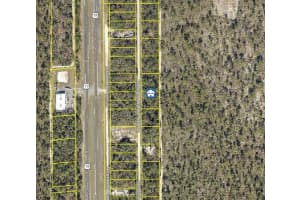 LOT 8 NECKLACE WARBLER AVENUE, BROOKSVILLE, FL 34614 - MLS#MFRW7881609