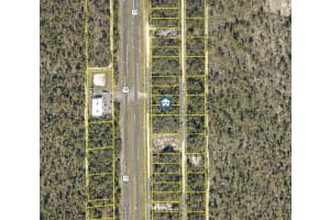 LOT 16 NECKLACE WARBLER AVENUE, BROOKSVILLE, FL 34614 - MLS#MFRW7881611