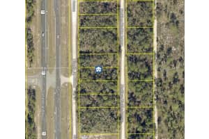 LOT 14 NECKLACE WARBLER, WEEKI WACHEE, FL 34614 - MLS#MFRW7881613