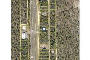 LOT 14 NECKLACE WARBLER, WEEKI WACHEE, FL 34614 - MLS#MFRW7881613