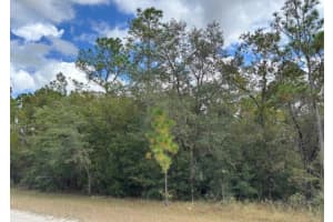 Lot 19 CANYON SWALLOW ROAD, WEEKI WACHEE, FL 34614 - MLS#MFRW7881618