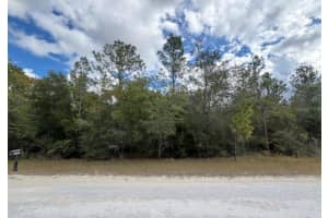 Lot 19 CANYON SWALLOW ROAD, WEEKI WACHEE, FL 34614 - MLS#MFRW7881618