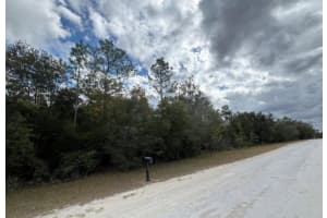 Lot 19 CANYON SWALLOW ROAD, WEEKI WACHEE, FL 34614 - MLS#MFRW7881618