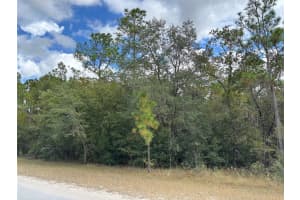 Lot 17 CANYON SWALLOW ROAD, WEEKI WACHEE, FL 34614 - MLS#MFRW7881620