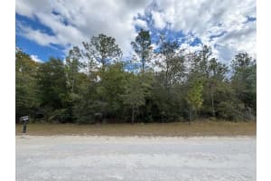 Lot 17 CANYON SWALLOW ROAD, WEEKI WACHEE, FL 34614 - MLS#MFRW7881620