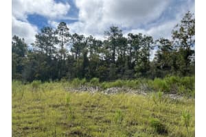 13154 FLACCUS COURT, BROOKSVILLE, FL 34613 Sold 02/25/26