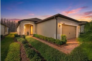 19440 SHIP WHEEL WAY, LAND O LAKES, FL 34638 - MLS#MFRW7881627