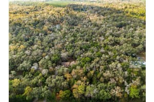 12047 TIMBER LANE, BROOKSVILLE, FL 34601 - MLS#MFRW7881662