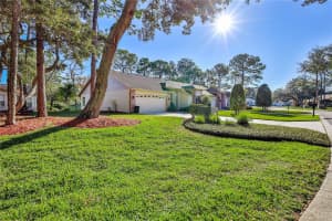 3205 APPLEBLOSSOM TRAIL, SPRING HILL, FL 34606 - MLS#MFRW7881690