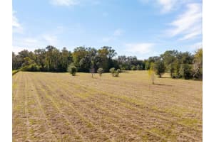 15188 NORRIS BISHOP LOOP, BROOKSVILLE, FL 34614 - MLS#MFRW7881704