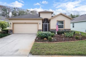 11246 MERGANSER WAY, NEW PORT RICHEY, FL 34654 - MLS#MFRW7881731