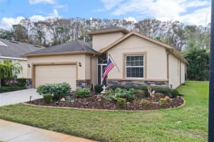 11246 MERGANSER WAY, NEW PORT RICHEY, FL 34654 - MLS#MFRW7881731