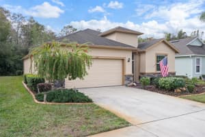11246 MERGANSER WAY, NEW PORT RICHEY, FL 34654 - MLS#MFRW7881731