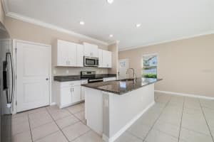 21884 LYONIA LANE, LAND O LAKES, FL 34637 - MLS#MFRW7881732