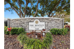 3313 HAVILAND COURT, PALM HARBOR, FL 34684 - MLS#MFRW7881735