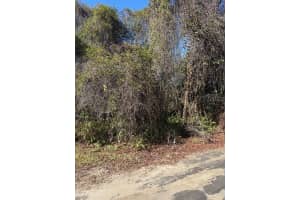 0 PANA STREET, NEW PORT RICHEY, FL 34654 - MLS#MFRW7881774