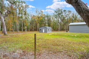 13366 GLORY LANE, BROOKSVILLE, FL 34614 - MLS#MFRW7881783