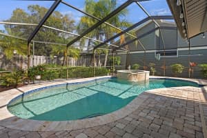 3559 DEER RUN, PALM HARBOR, FL 34684 - MLS#MFRW7881793