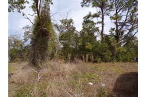 4582 GONDOLIER ROAD, SPRING HILL, FL 34609 Sold 02/20/26