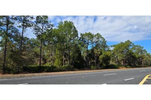 18193 COMMERCIAL WAY, WEEKI WACHEE, FL 34614 - MLS#MFRW7881840