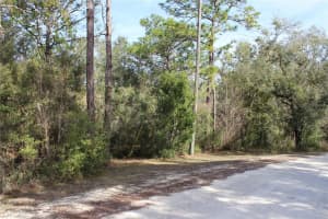 34273 BELT DRIVE, DADE CITY, FL 33523 - MLS#MFRW7881851