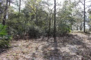 34273 BELT DRIVE, DADE CITY, FL 33523 - MLS#MFRW7881851