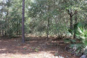 34273 BELT DRIVE, DADE CITY, FL 33523 - MLS#MFRW7881851