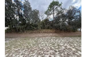 0 CENTRALIA ROAD, WEEKI WACHEE, FL 34614 - MLS#MFRW7881858