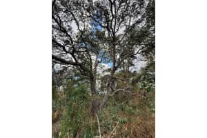 0 CENTRALIA ROAD, WEEKI WACHEE, FL 34614 - MLS#MFRW7881858