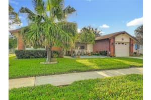 12805 SANDBURST LANE, HUDSON, FL 34667 - MLS#MFRW7881864