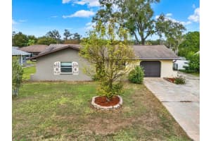 31205 LANCEWOOD DRIVE, BROOKSVILLE, FL 34602 - MLS#MFRW7881866