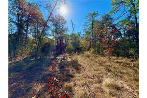 9164 BIRMINGHAM AVENUE, WEEKI WACHEE, FL 34613 - MLS#MFRW7881912