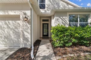 12401 RIDGEDALE DRIVE, HUDSON, FL 34669 - MLS#MFRW7881913