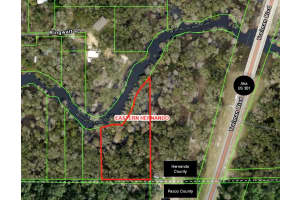 0 TREIMAN BOULEVARD, DADE CITY, FL 33523 - MLS#MFRW7881948