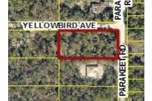 18131 PARAKEET ROAD, WEEKI WACHEE, FL 34614 - MLS#MFRW7882003