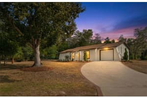 6450 CROWLEY COURT, SPRING HILL, FL 34609 - MLS#MFRW7882020