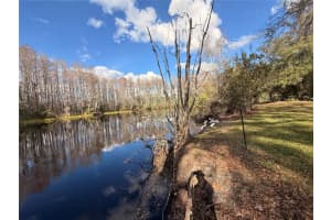 12155 ENVIRONMENTAL DRIVE, NEW PORT RICHEY, FL 34654 - MLS#MFRW7882034