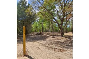 13409 CORMORANT ROAD, BROOKSVILLE, FL 34614 - MLS#MFRW7882060